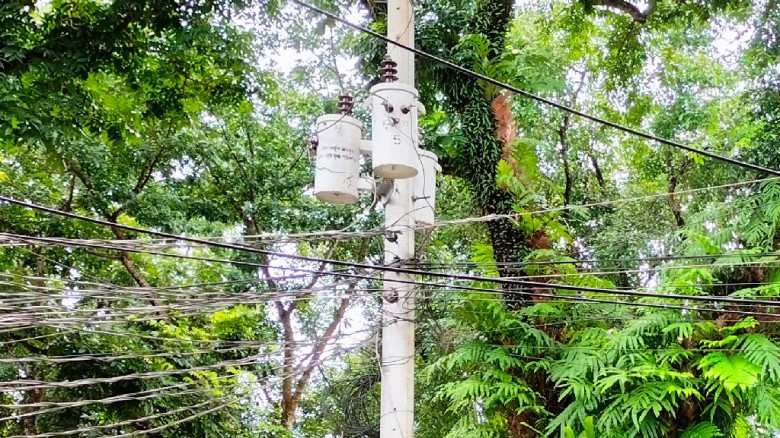 কুড়িগ্রামে ৭ দিনের বিদ্যুৎ সংকটের শঙ্কা, ২৯ জুলাই থেকে শুরু হচ্ছে সঞ্চালন লাইনের উন্নয়নকাজ